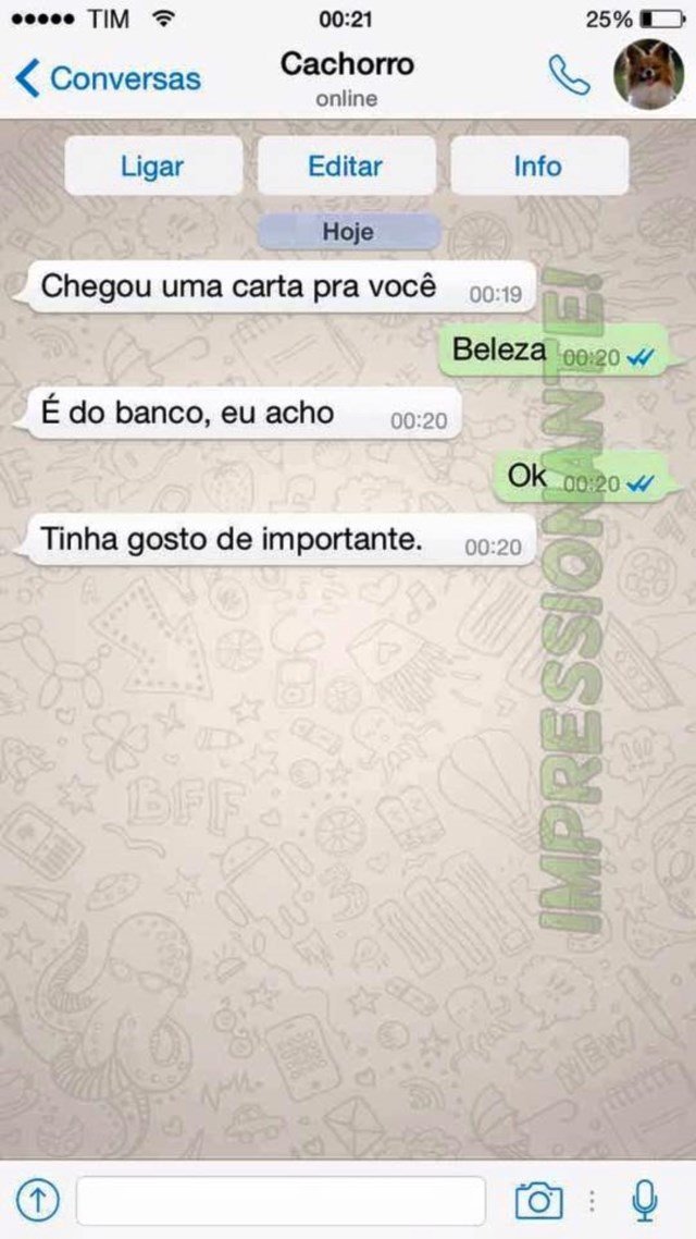 conversa-whatsapp-cachorro