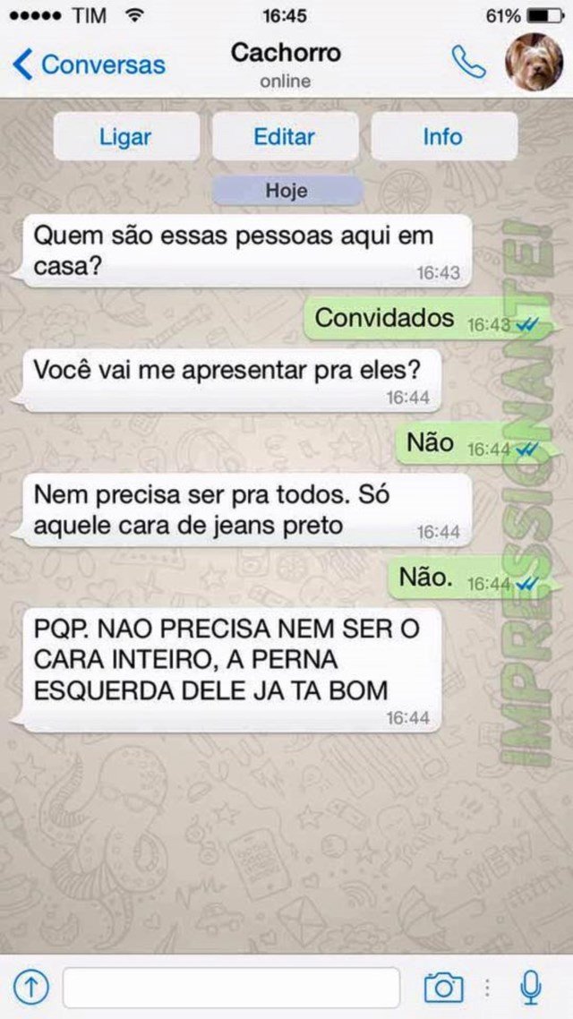 conversa-whatsapp-cachorro